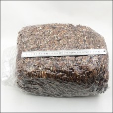 Пекан орех очищенный сырой, МЕКСИКА, (кор (13.6 кг))